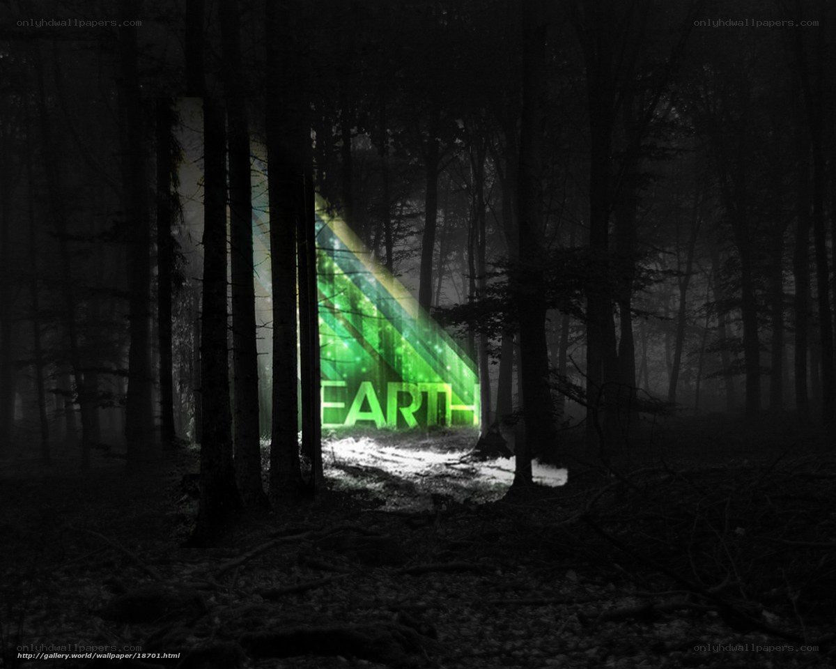 glowing earth in dark forest
