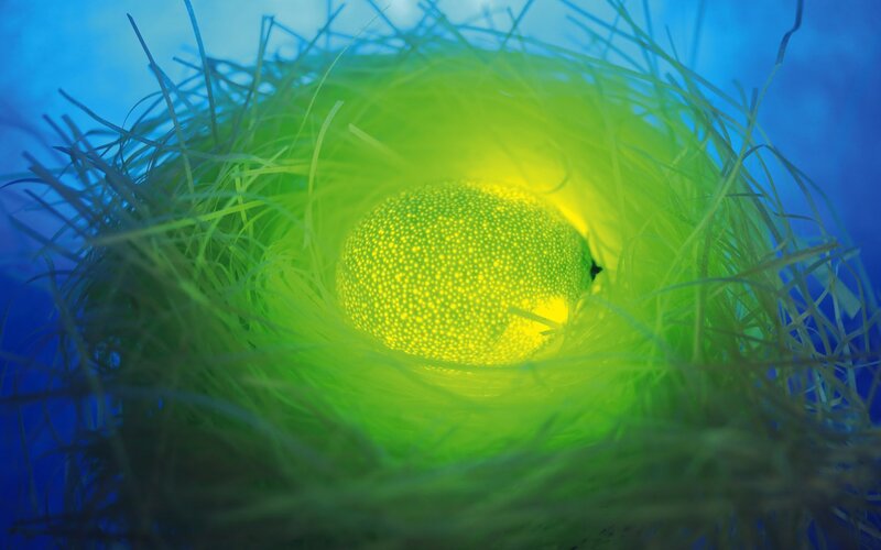 glowing egg in nest