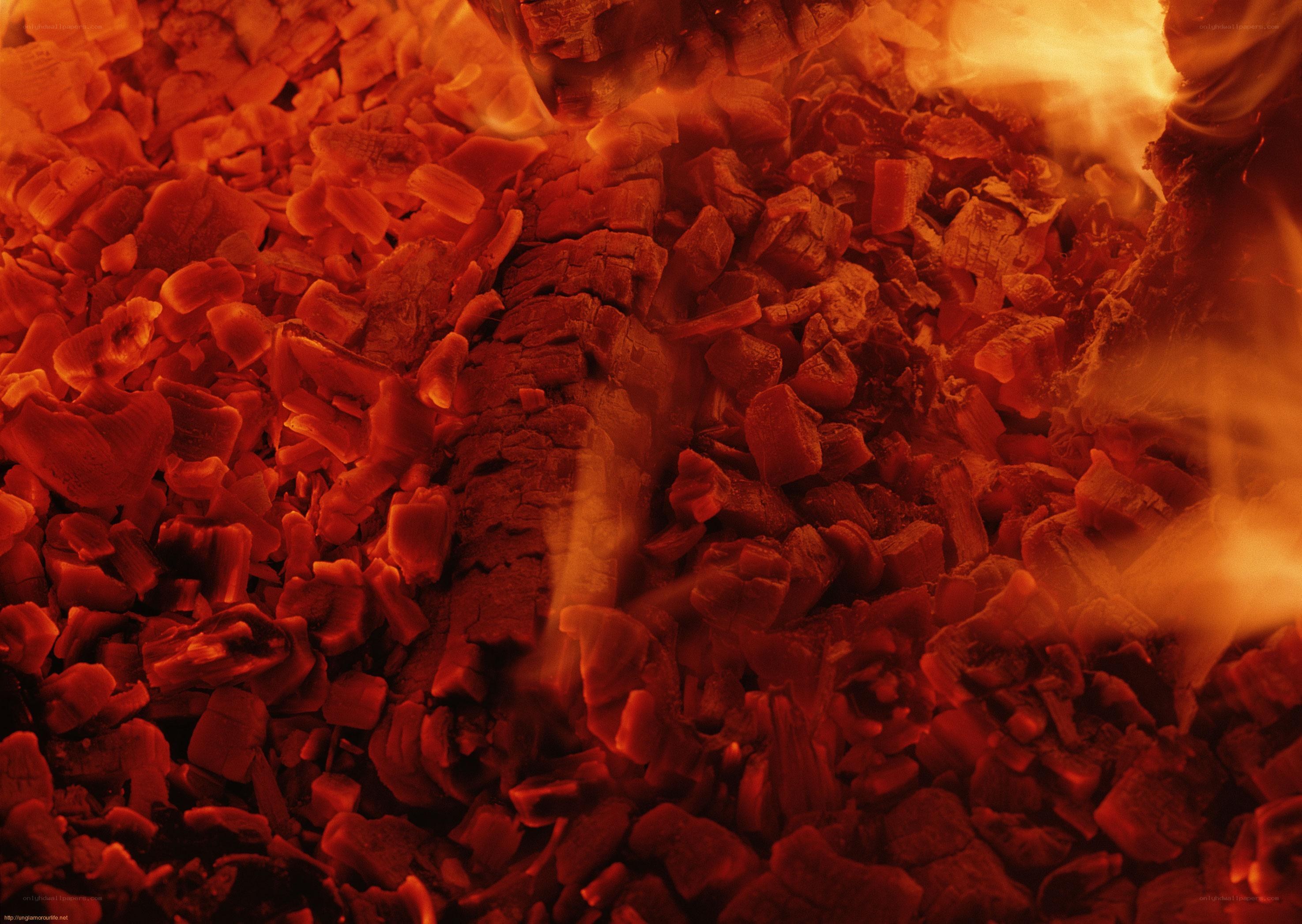 glowing embers in a fire
