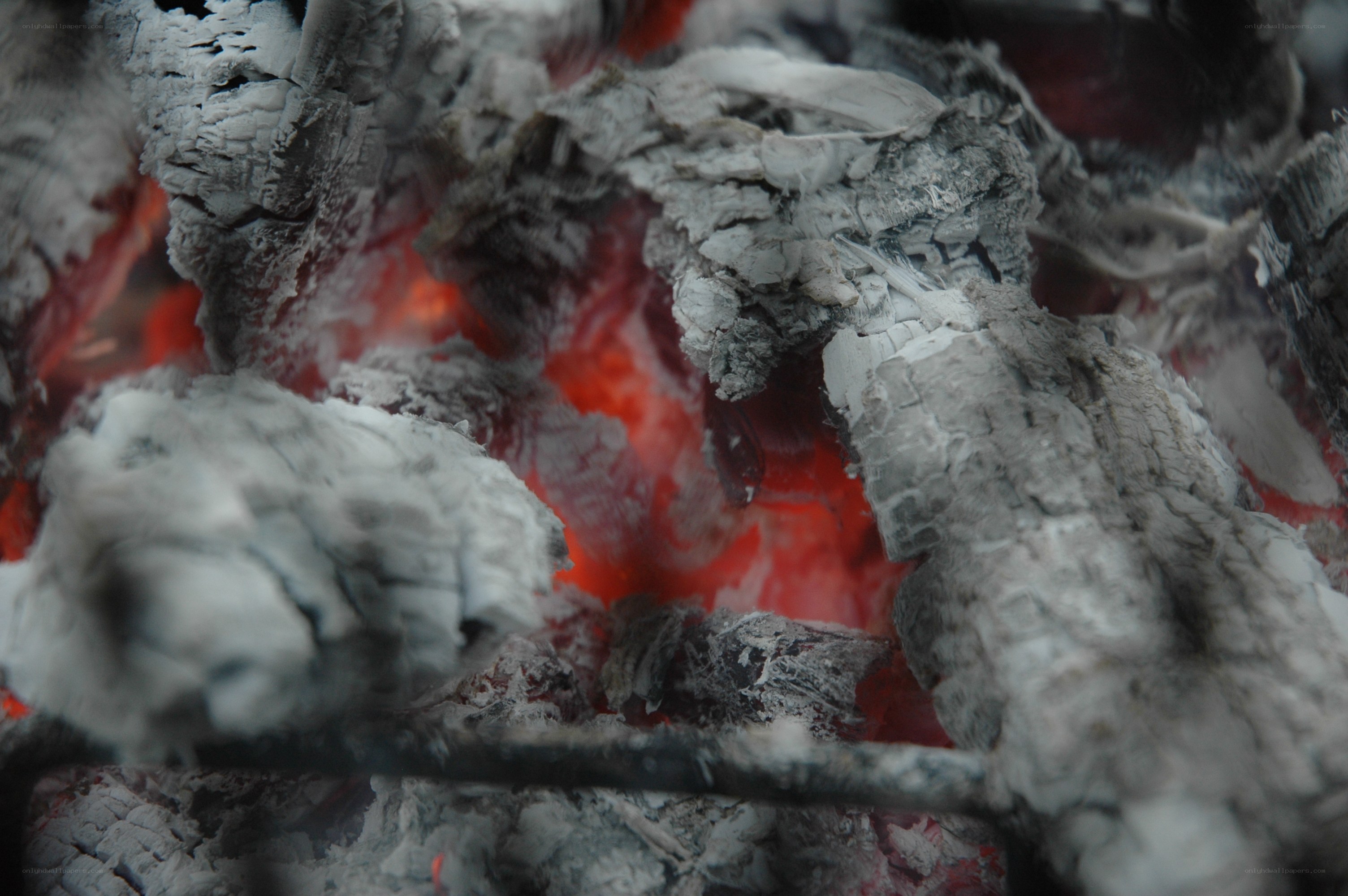 glowing embers in a fire