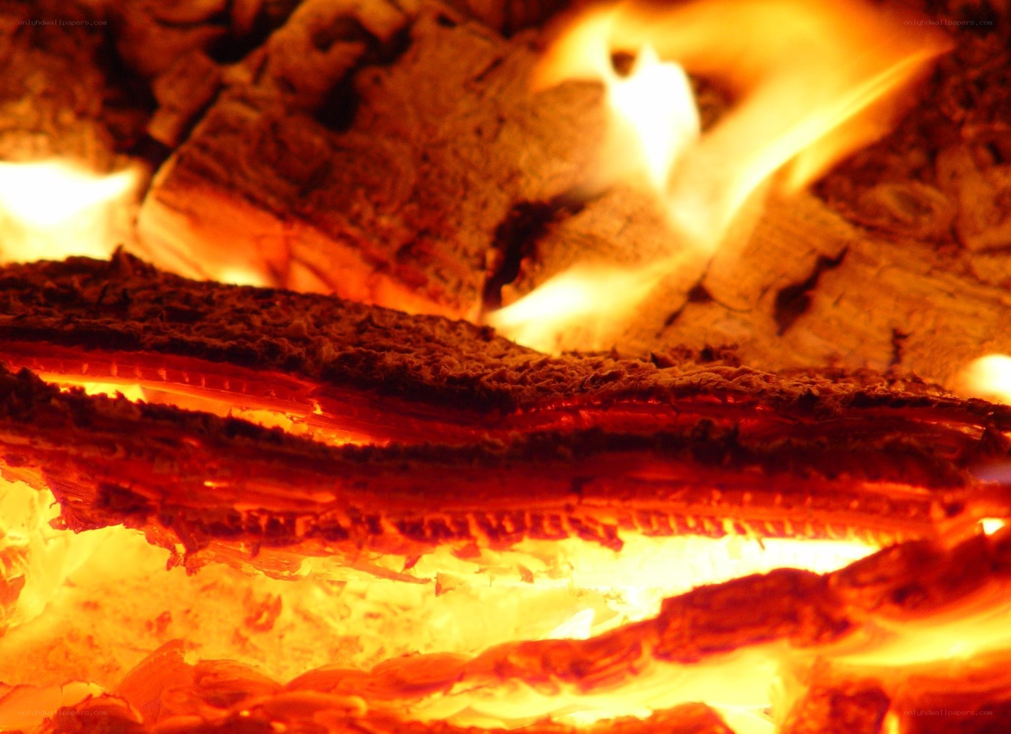glowing embers in a fire