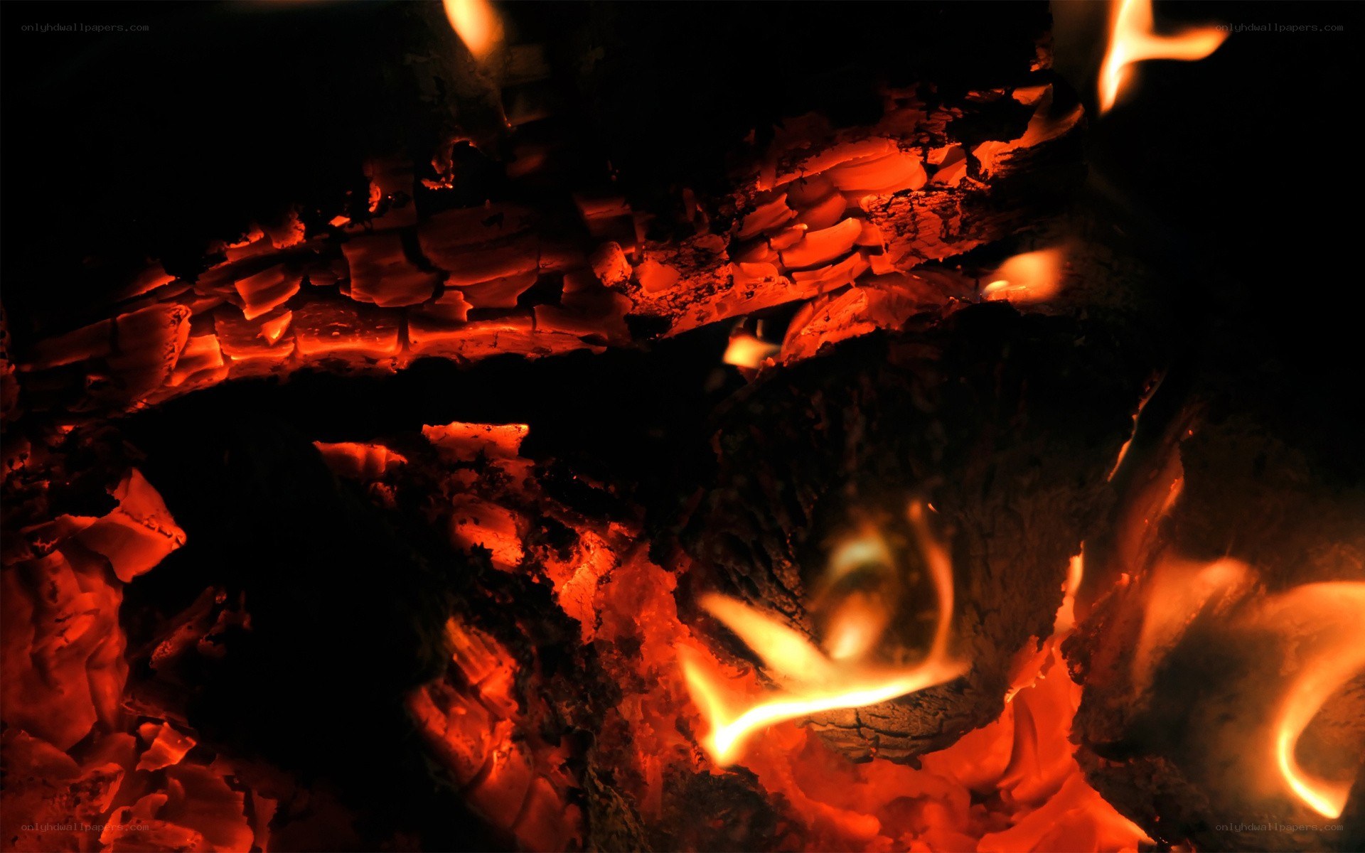 glowing embers in a fire