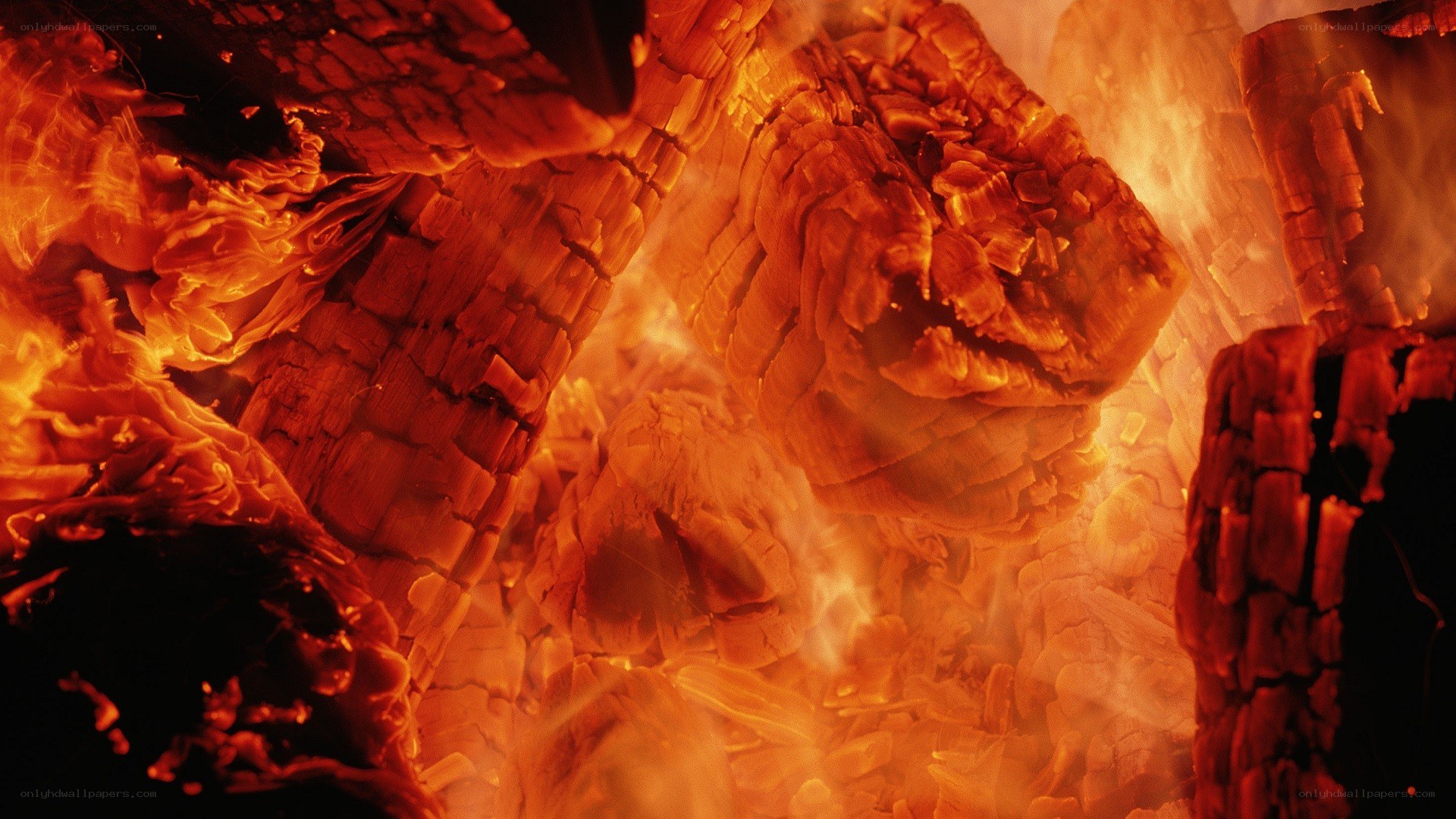 glowing embers in a fire