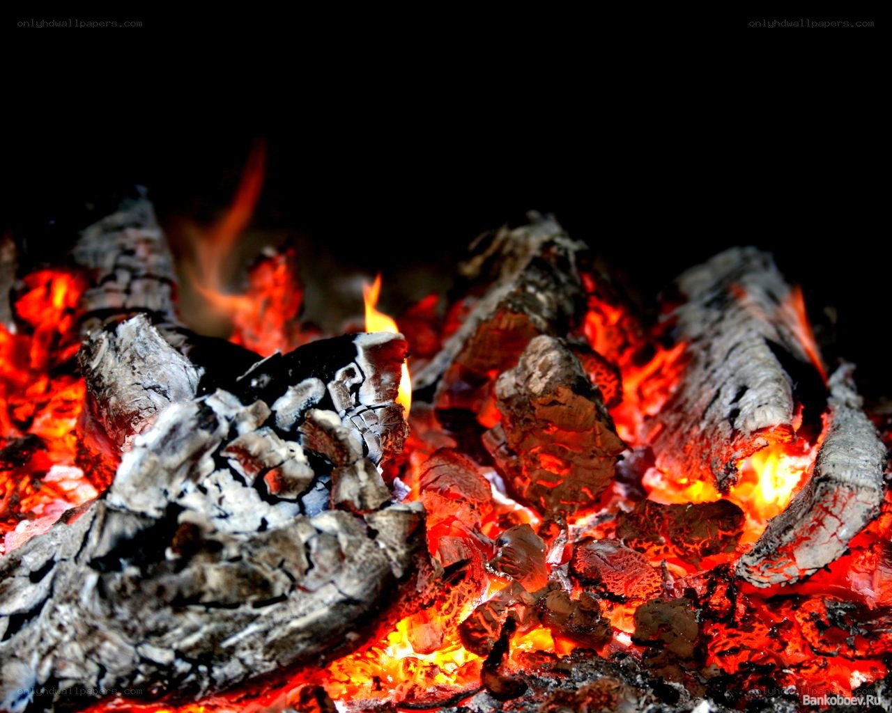 glowing embers in a fire