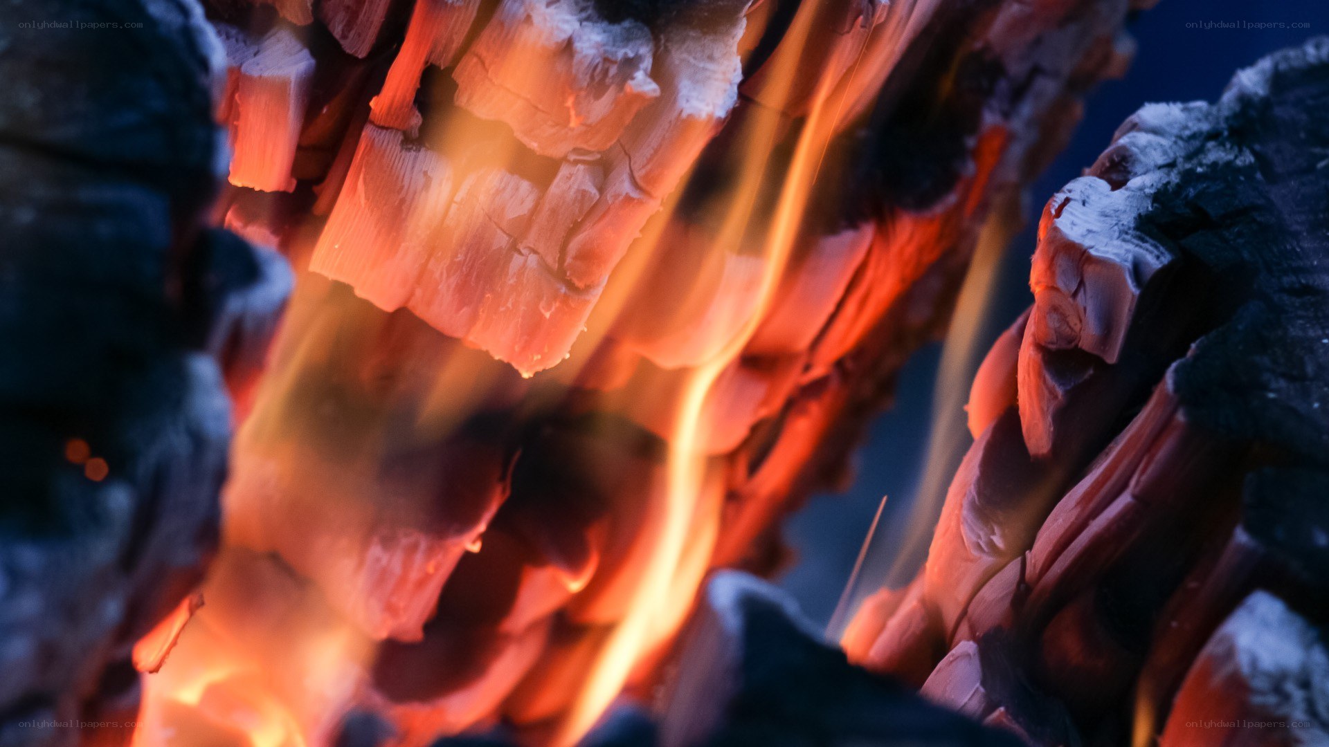 glowing embers in a fire