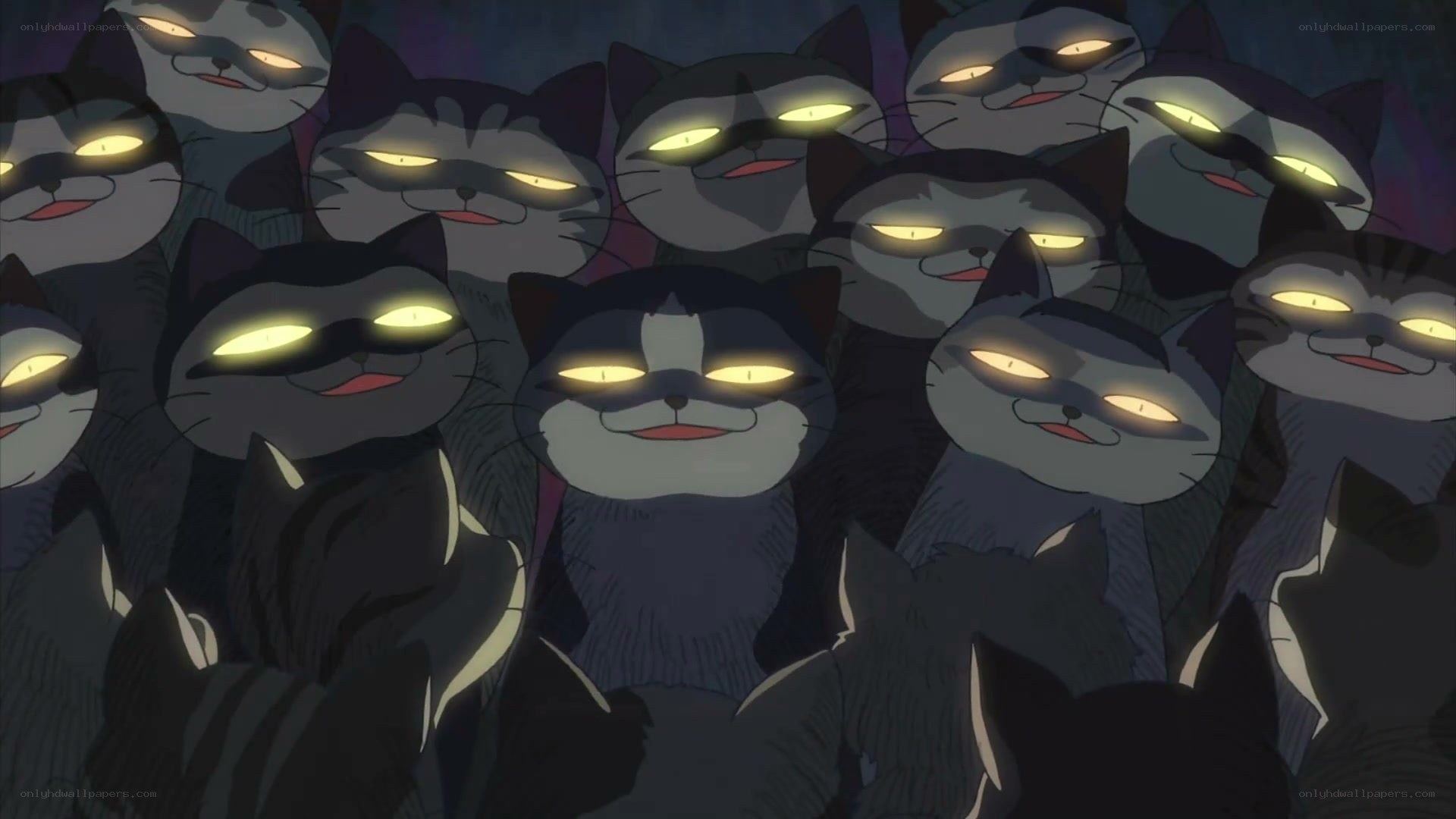 glowing-eyed cats in crowd