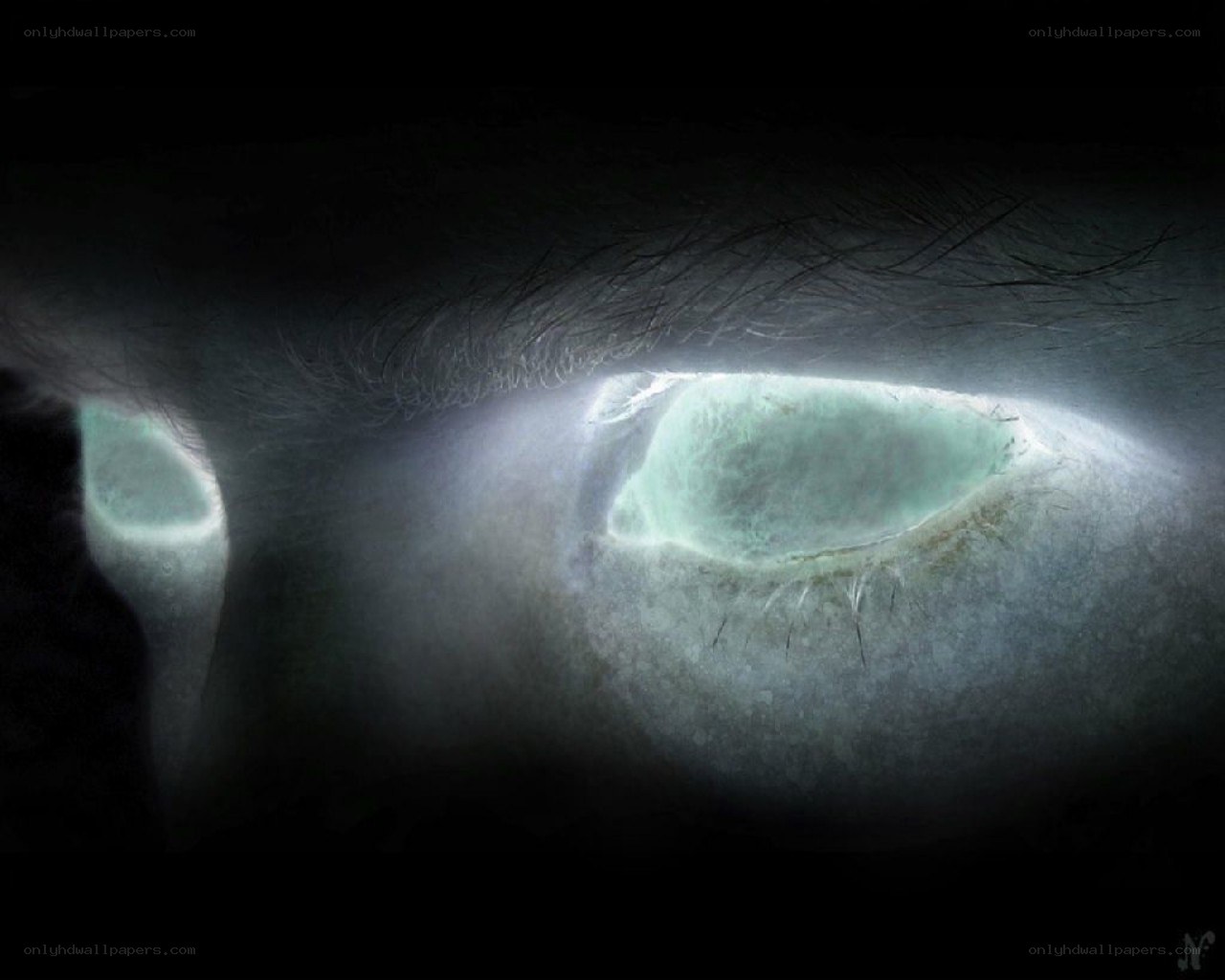 glowing eyes in darkness