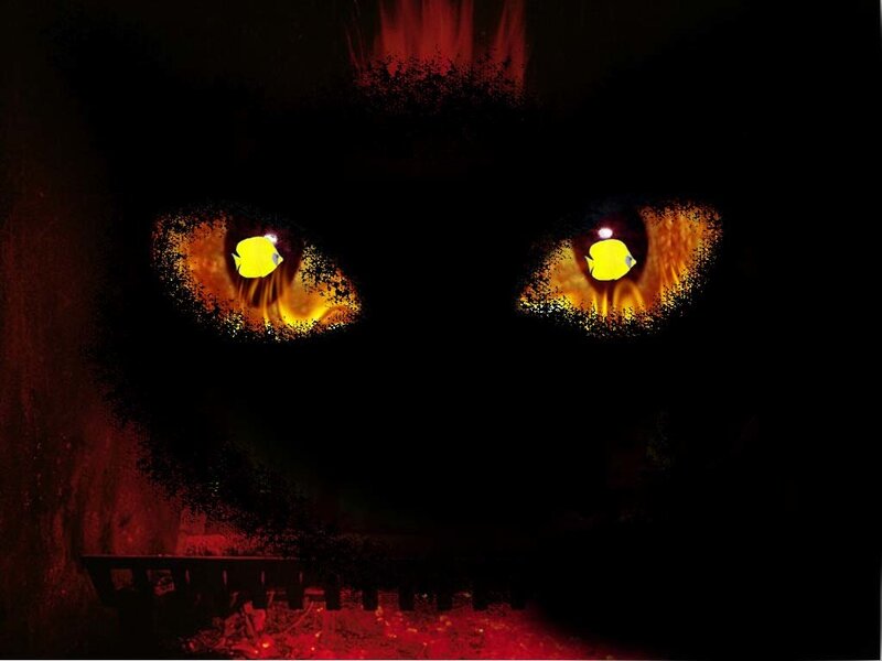 glowing eyes in darkness