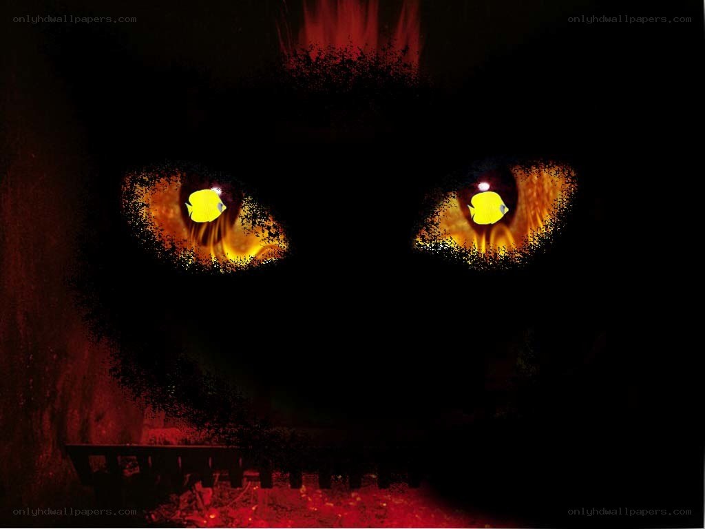 glowing eyes in darkness