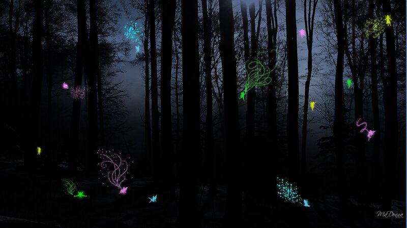 glowing fairies in a dark forest