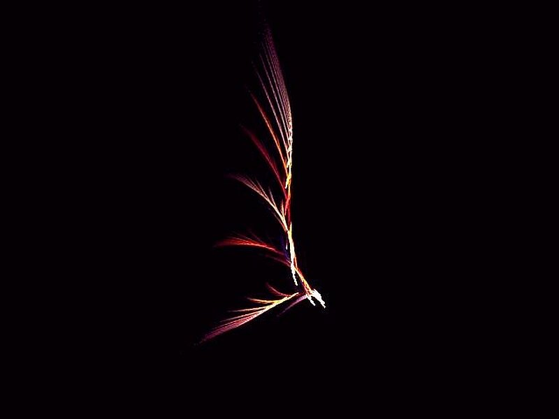 Glowing Feather in Darkness