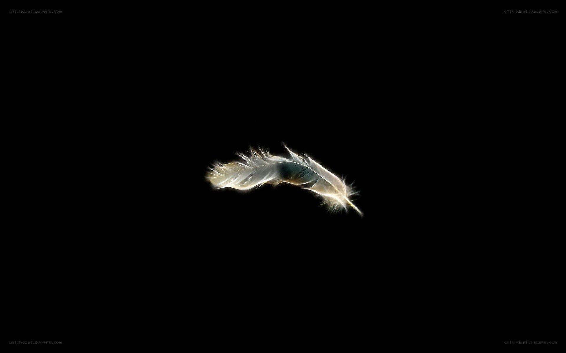 glowing feather on black
