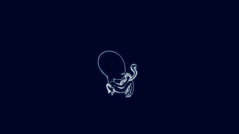 glowing fetus outline