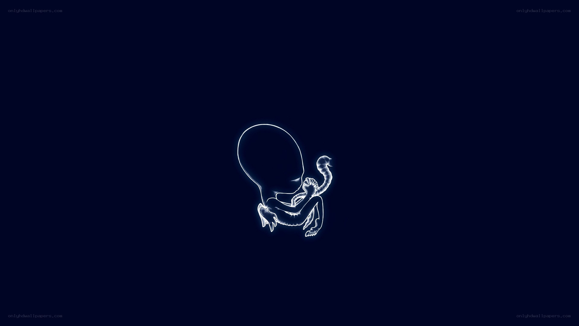 glowing fetus outline