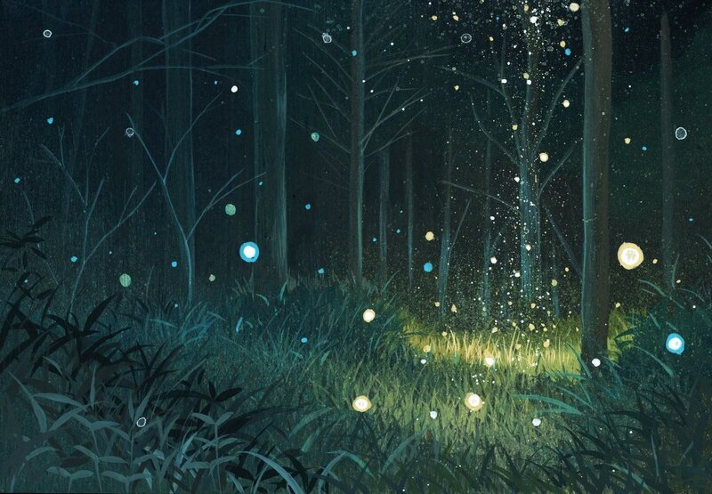 Glowing Fireflies in Forest — Green