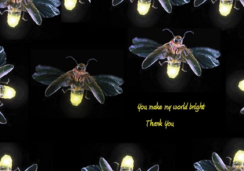 Glowing Fireflies