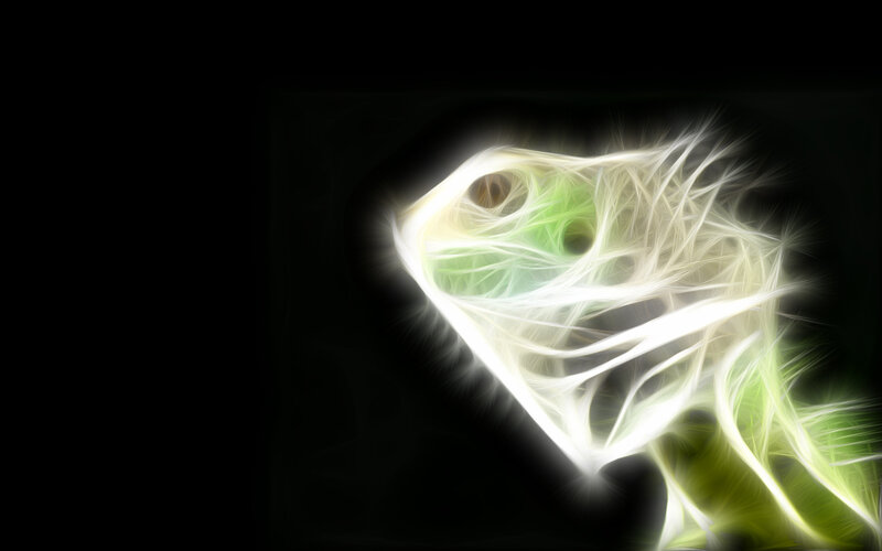 glowing fish abstract art