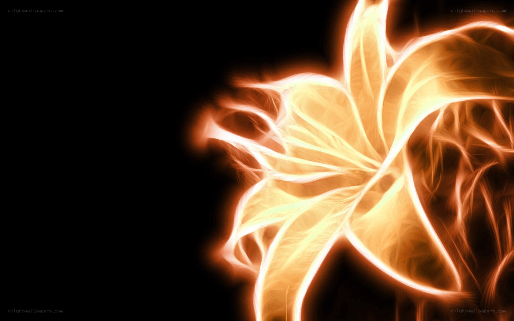 glowing flame flower