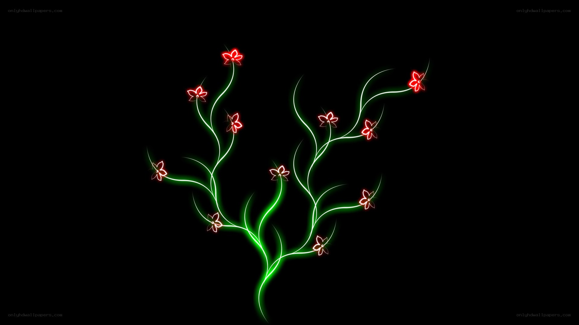 glowing floral design