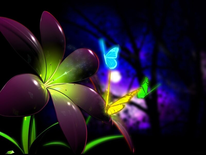 glowing flower and butterflies