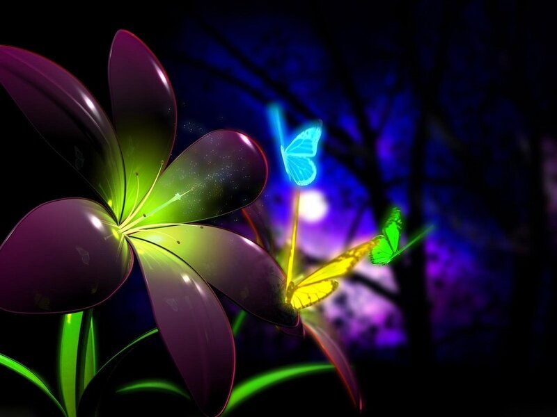 glowing flower and butterflies