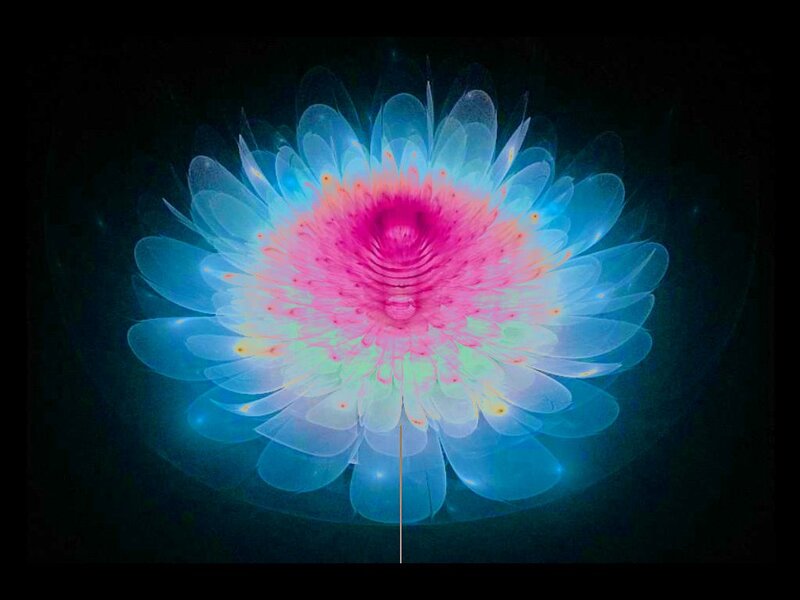Glowing Flower Bloom