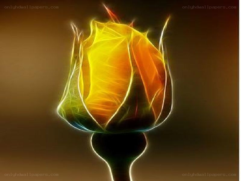 glowing flower bud
