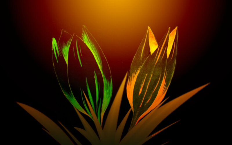 glowing flower buds
