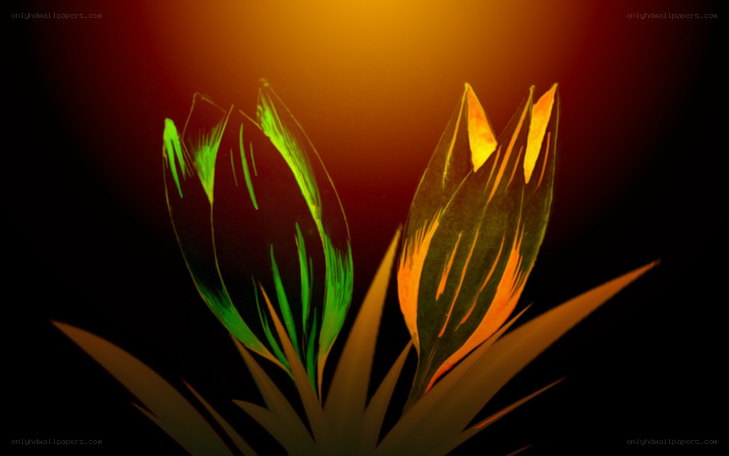 glowing flower buds