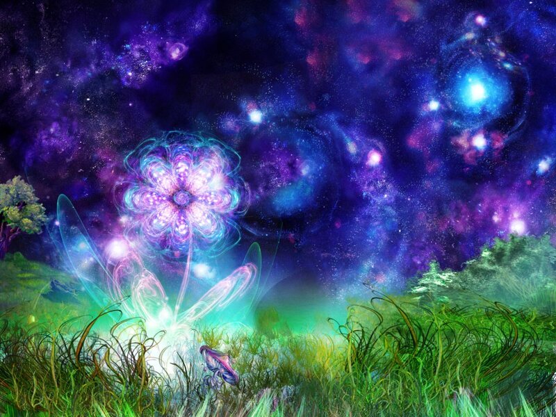 Glowing Flower in Field — Purple, Dreamy, Night, Digital Art, Grass