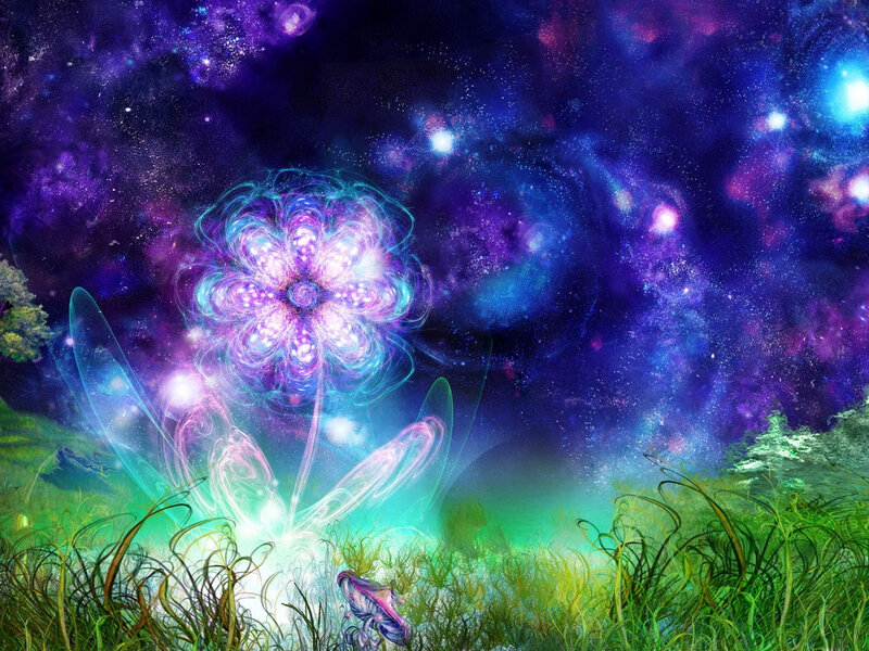 Glowing Flower in Field — Purple, Dreamy, Night
