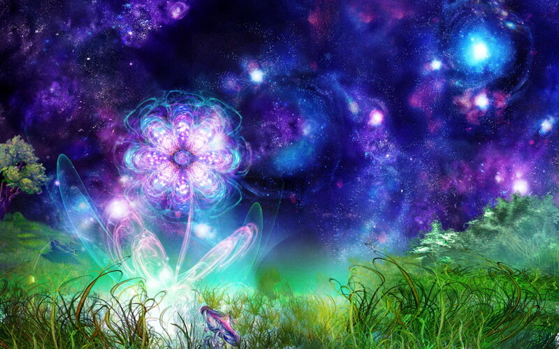 Glowing Flower in Field — Purple, Dreamy