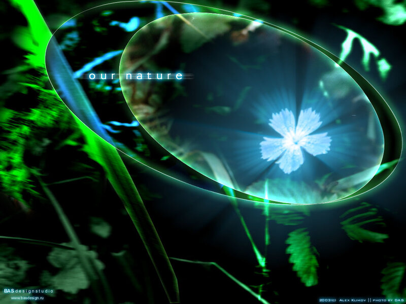 glowing flower in nature