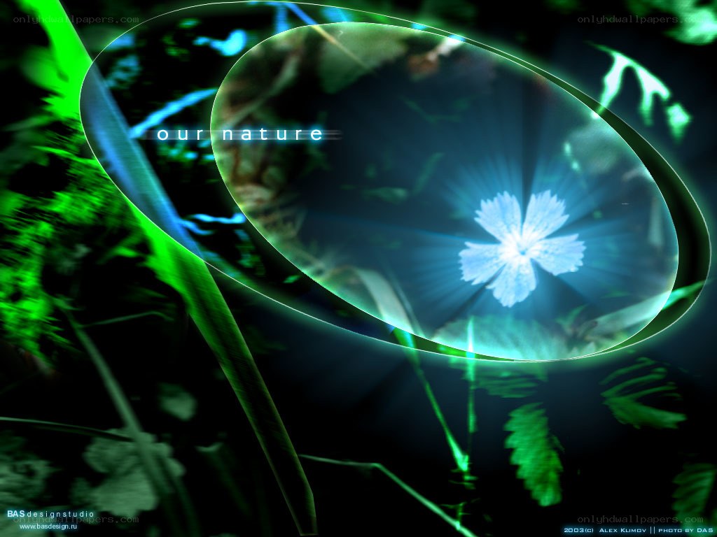 glowing flower in nature