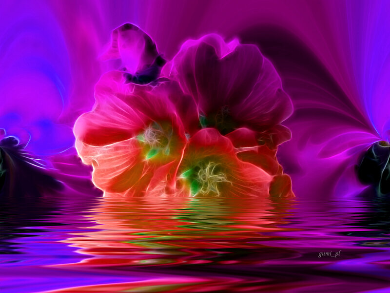 Glowing Flower in Water