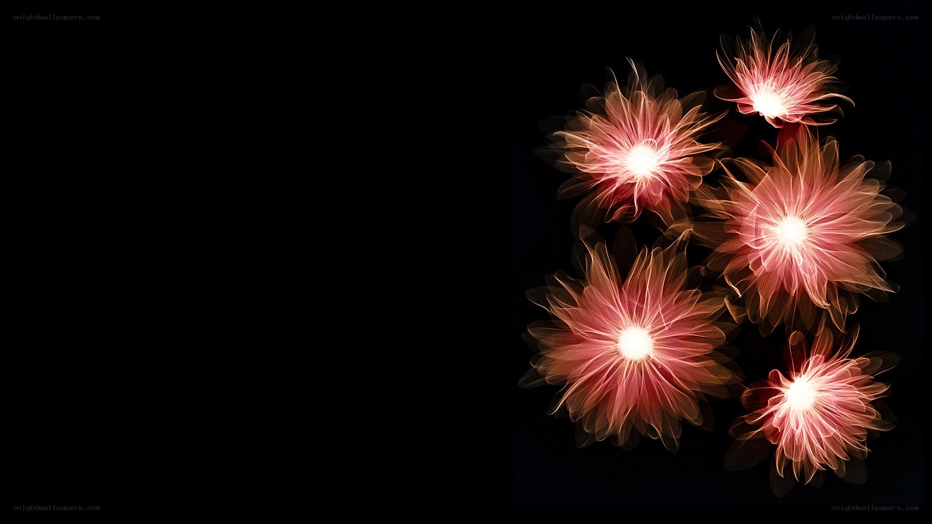 glowing flower light patterns