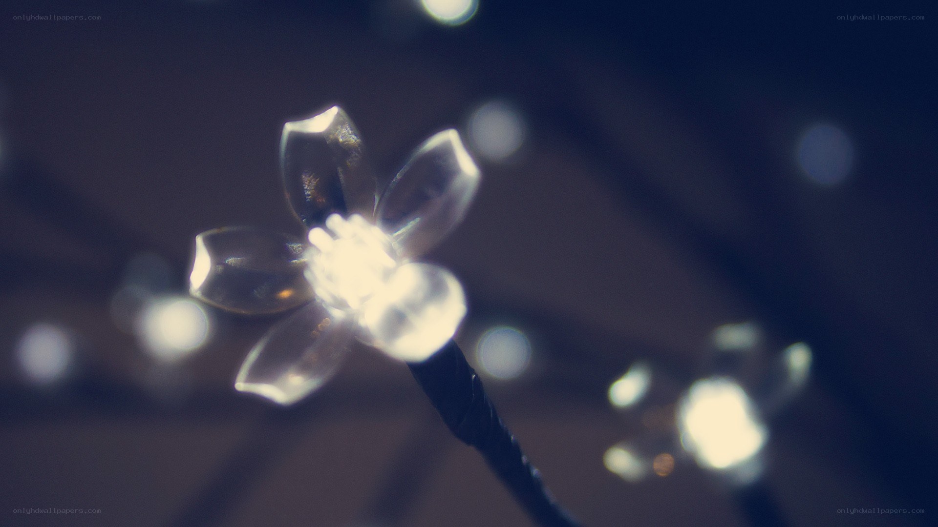 glowing flower lights