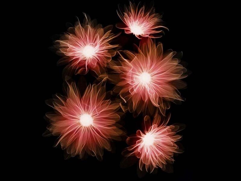 Glowing Flower-like Shapes