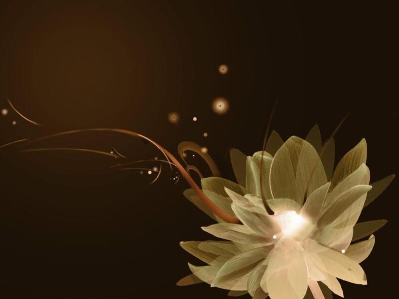 glowing flower on dark background