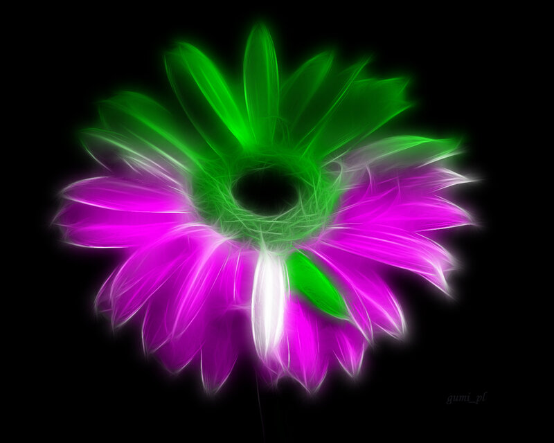Glowing Flower