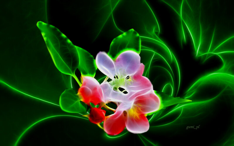 Glowing Flower with Leaves