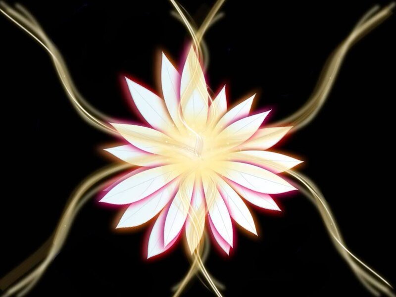 glowing flower with light trails