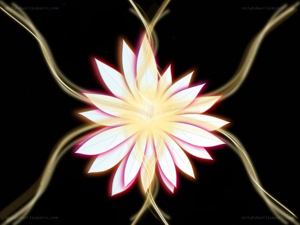 glowing flower with light trails