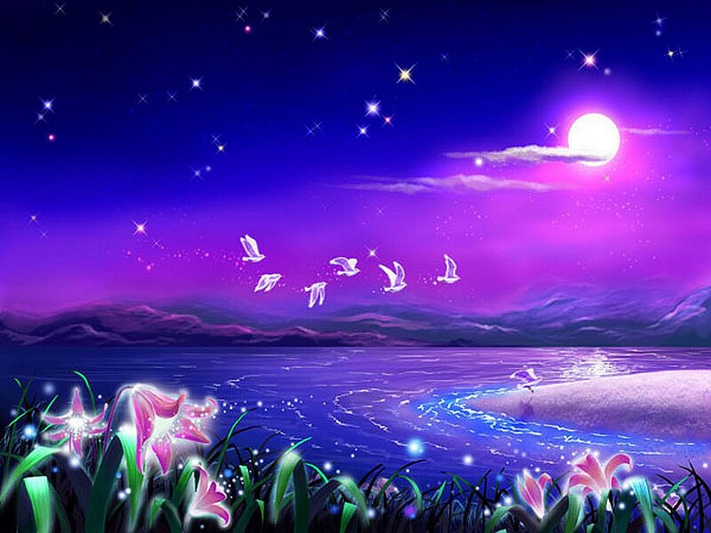 Glowing Flowers by Lake — Purple