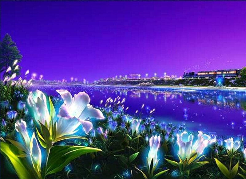 Glowing Flowers by Lake