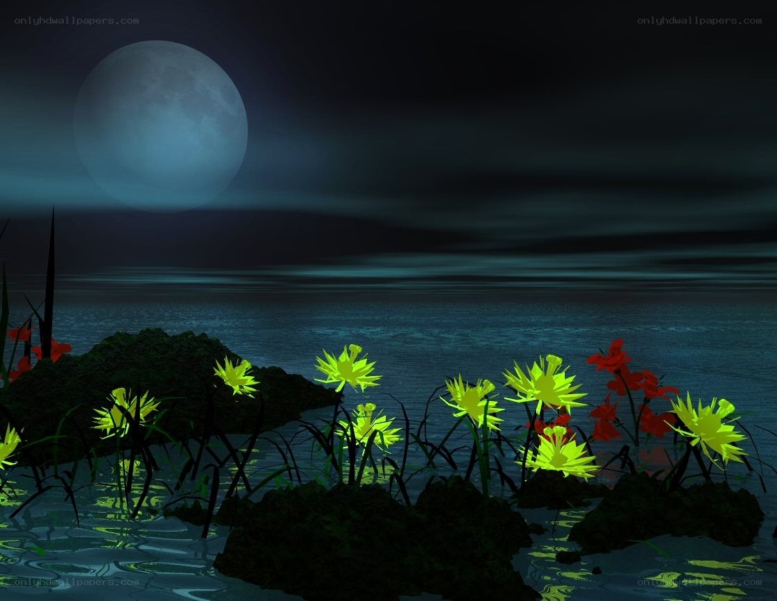 Glowing flowers by the moonlit sea