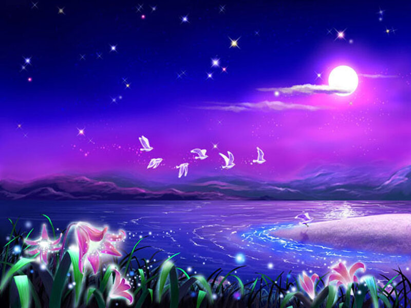Glowing Flowers by Water