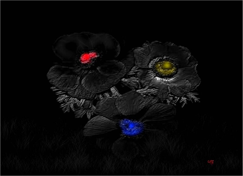 Glowing Flowers in Dark — Black