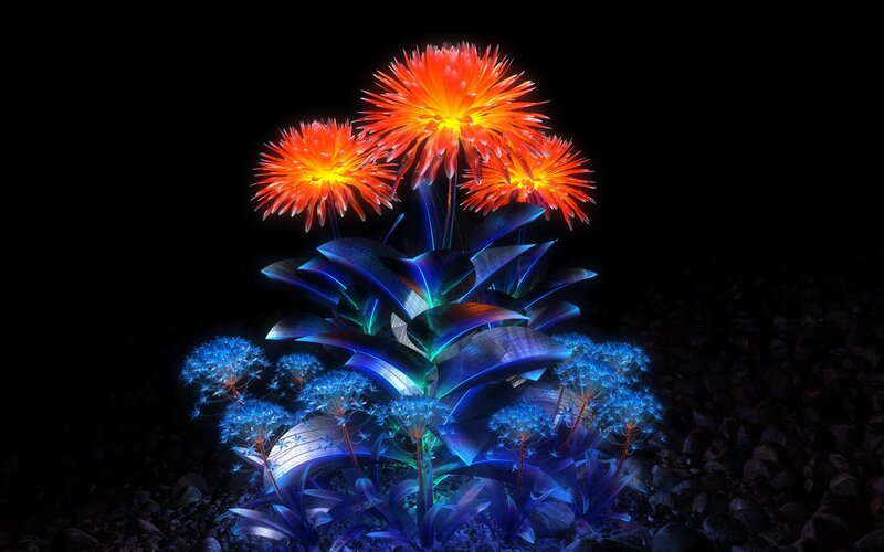 Glowing Flowers in Dark — Blue, Dramatic, Night, Digital Art, Leaves