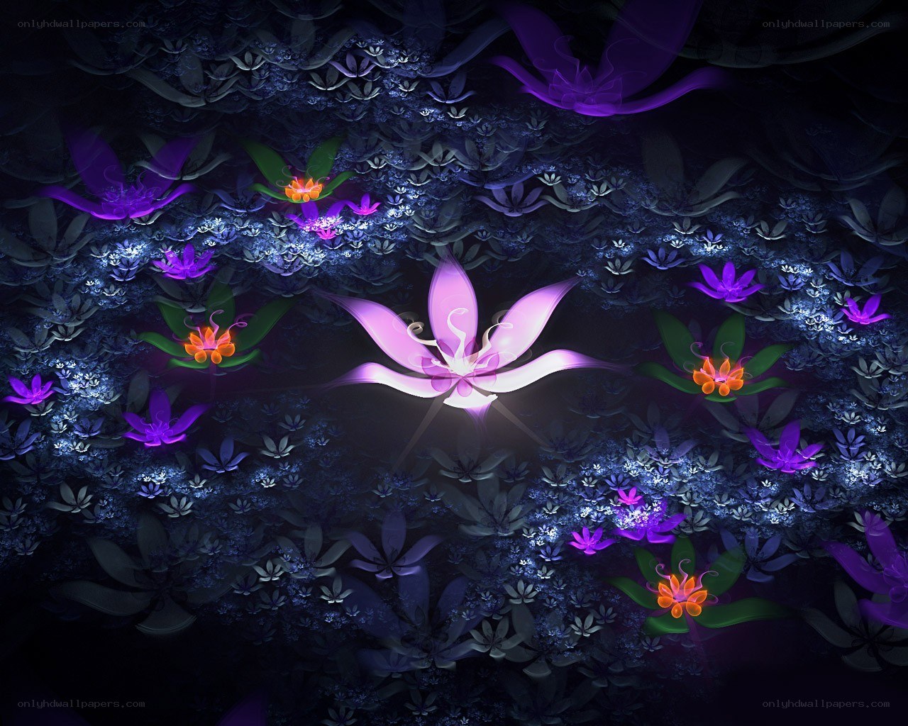 glowing flowers in dark garden